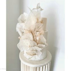 Madame Spoons Cake Design