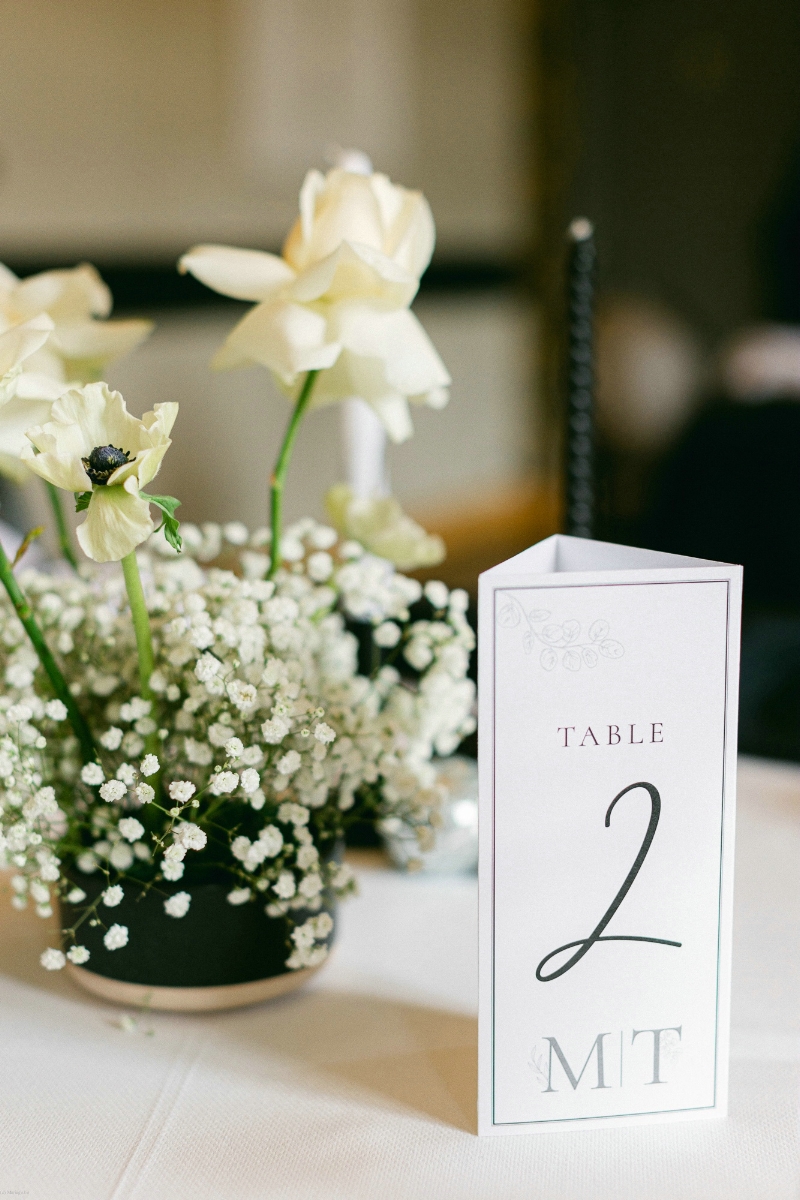 UNIQ EVENT BY ALBINE - ALBINE QUISENAIRE